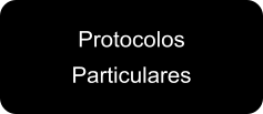 Protocolos  Particulares